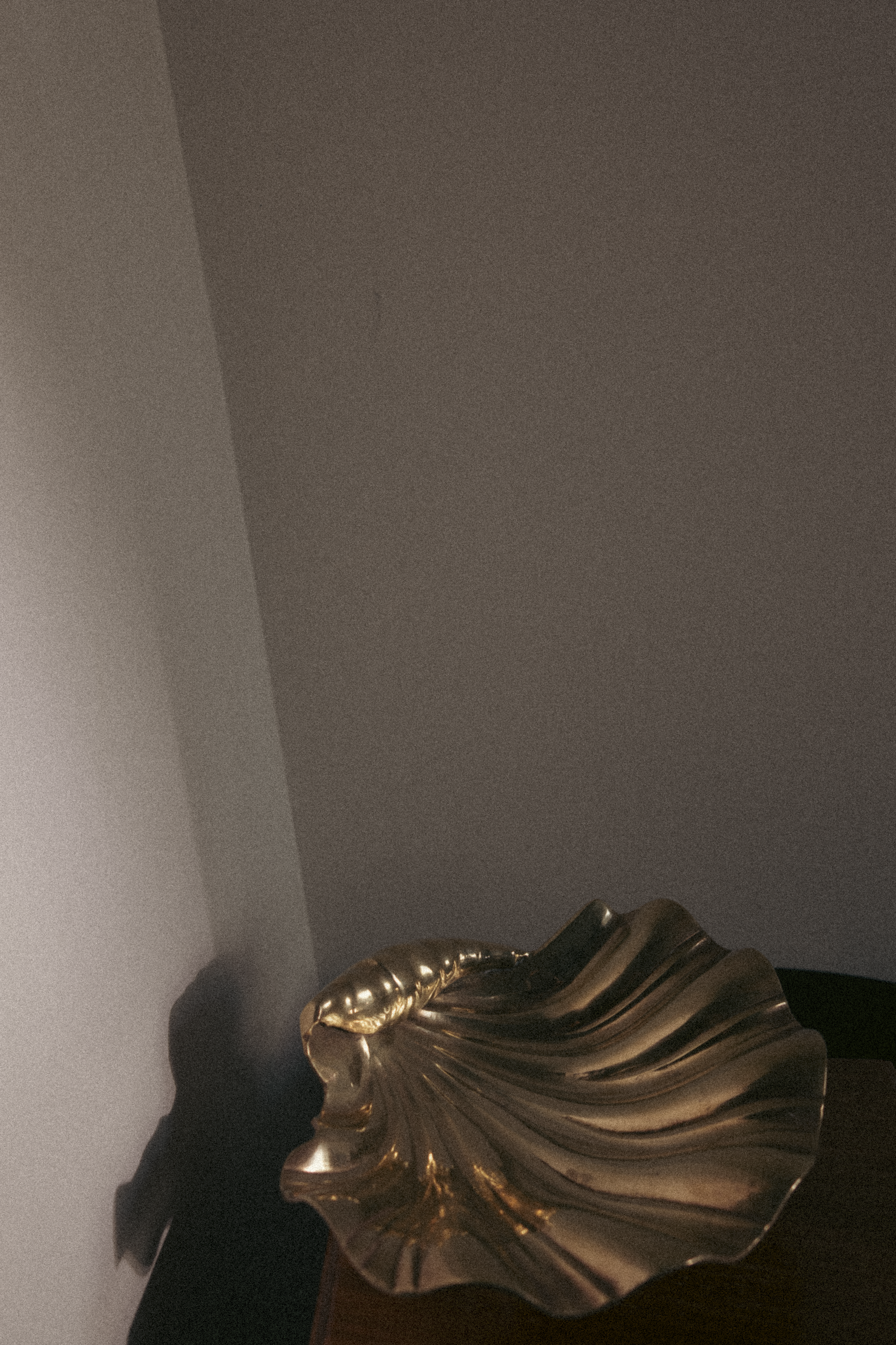 Brass Shell Catch-All