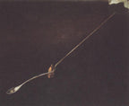 Salvador Dalí 'Melting Teaspoon'