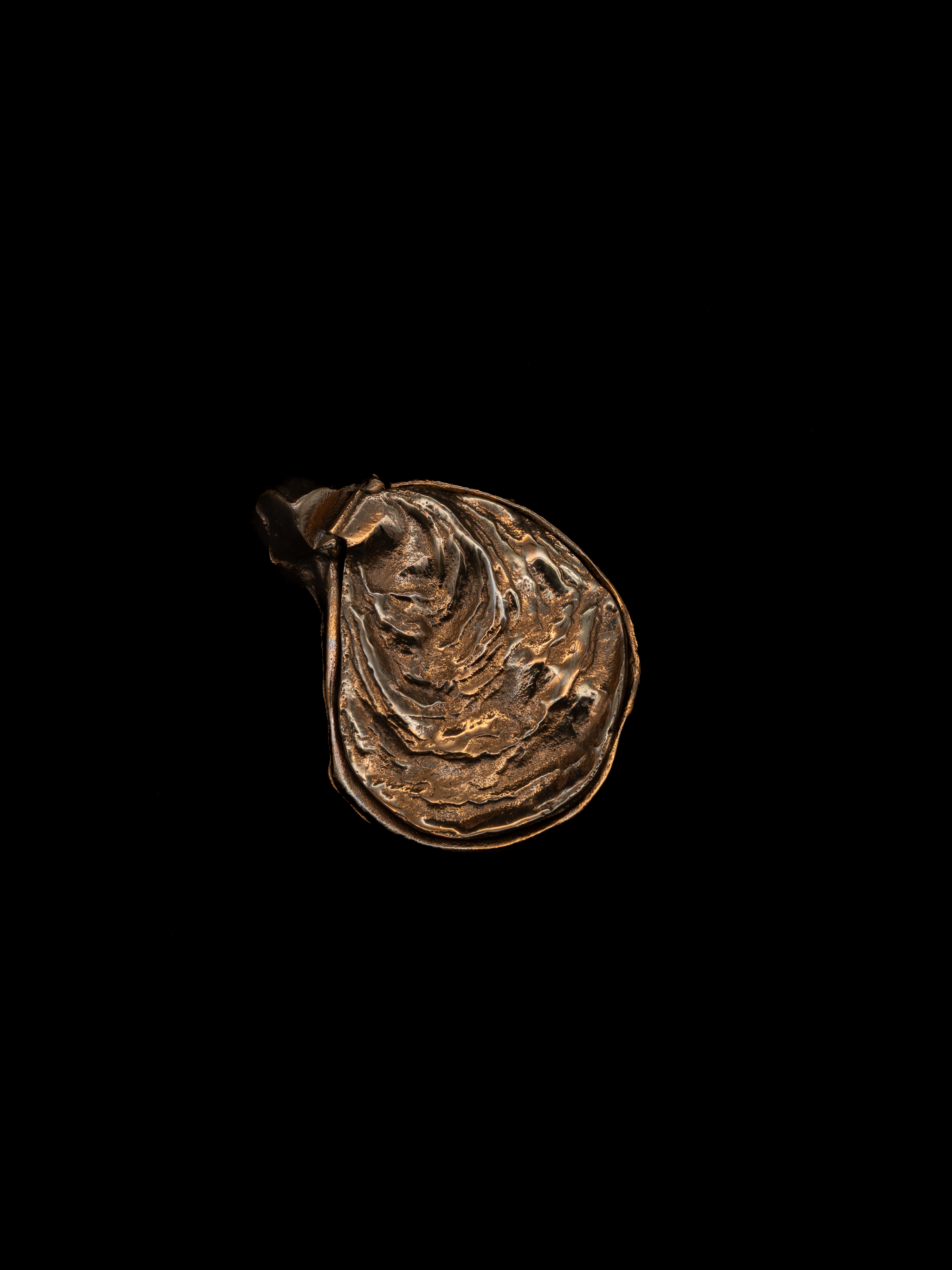 Sculptural Bronze Oyster Box