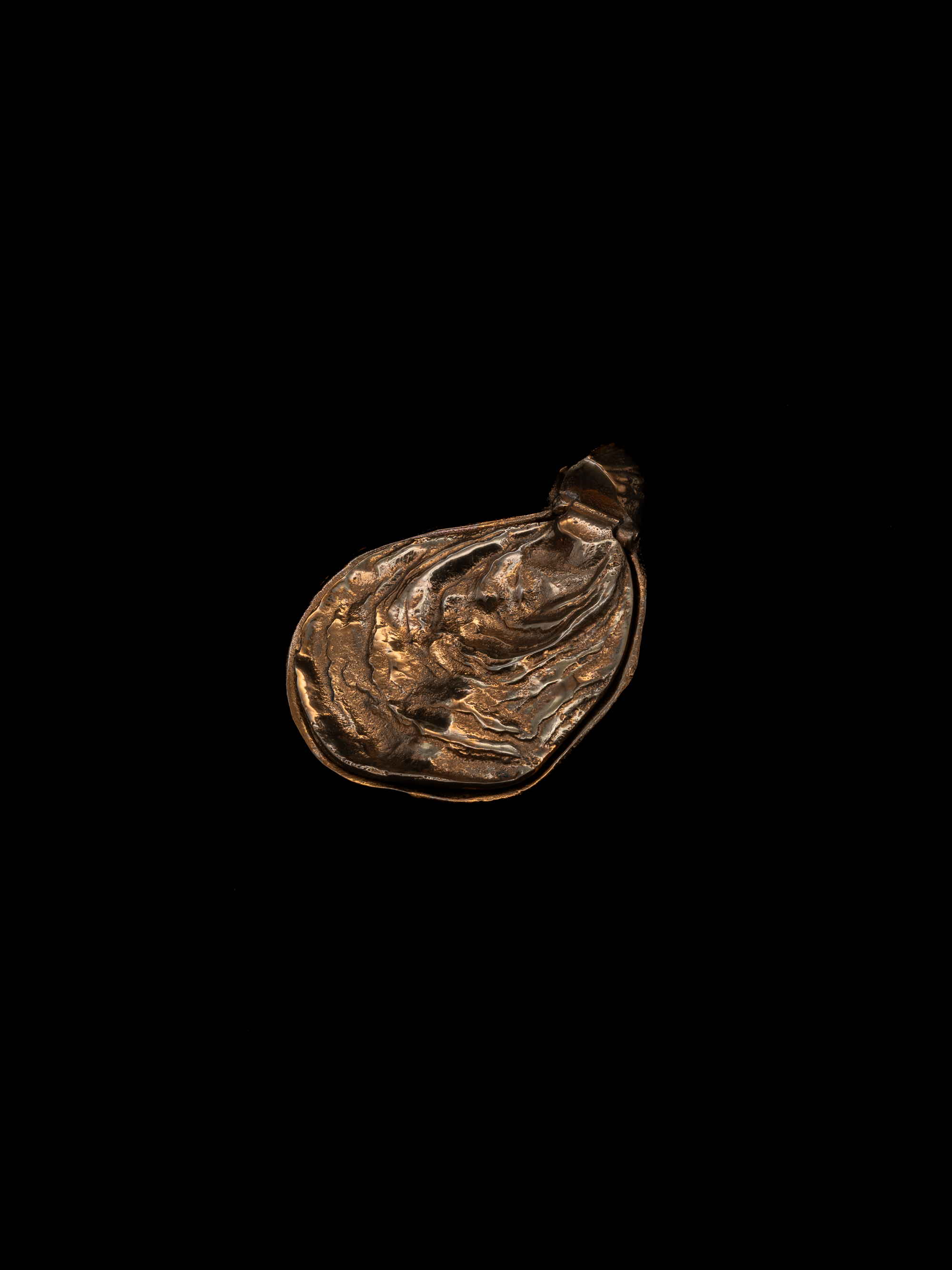 Sculptural Bronze Oyster Box