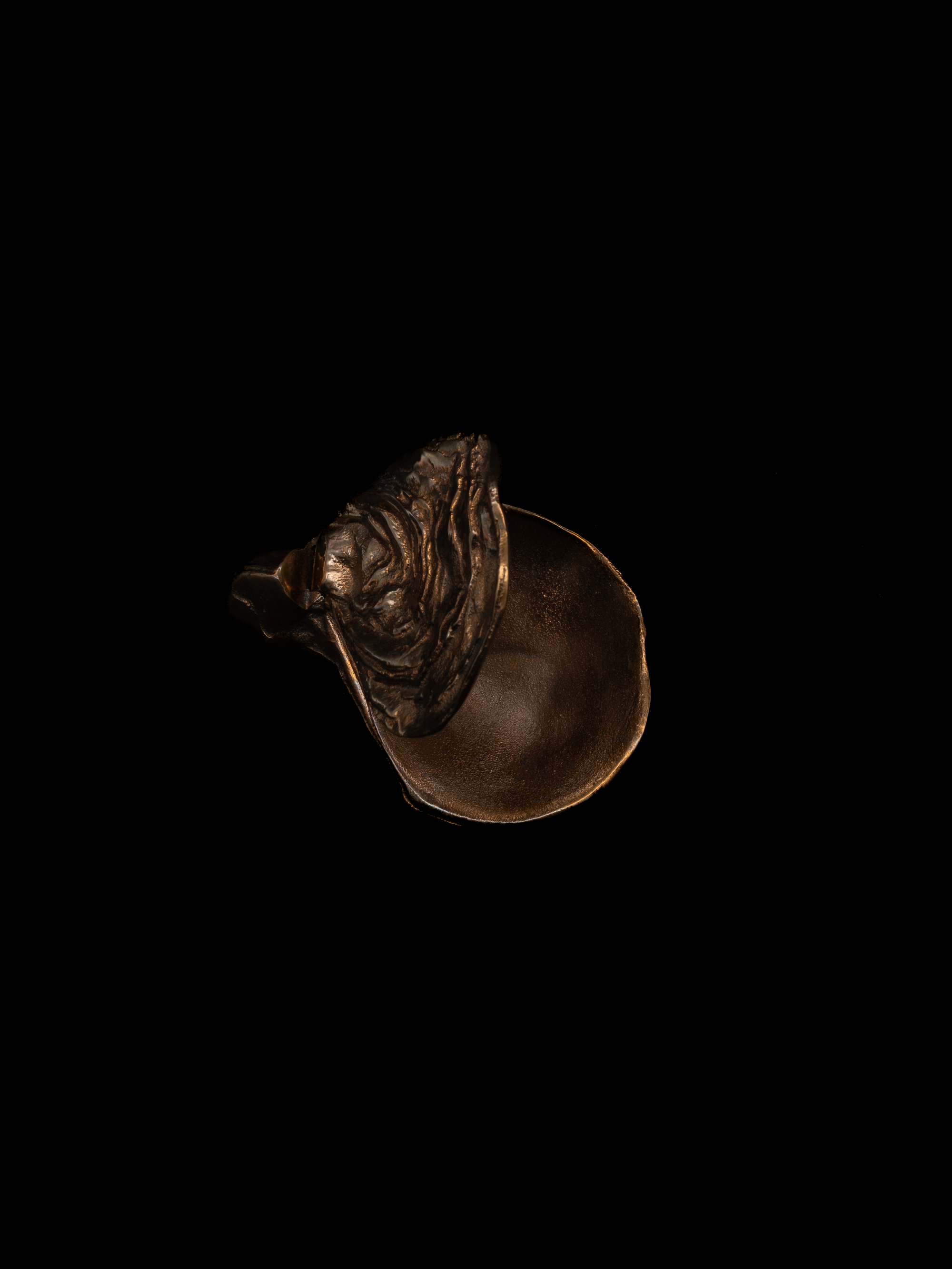 Sculptural Bronze Oyster Box