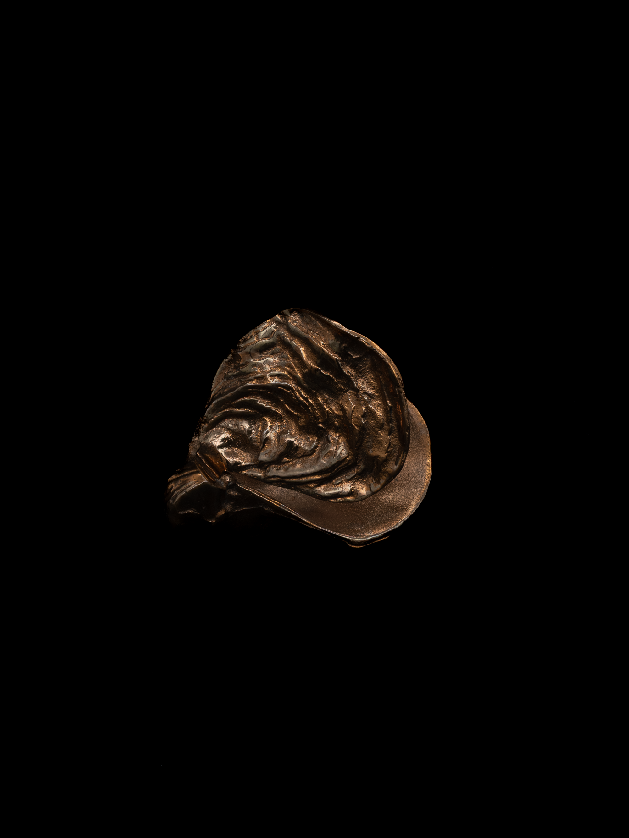 Sculptural Bronze Oyster Box