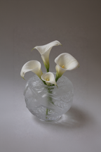 Portieux Vallerysthal "Oiseaux" Art Deco Frosted Globe Vase