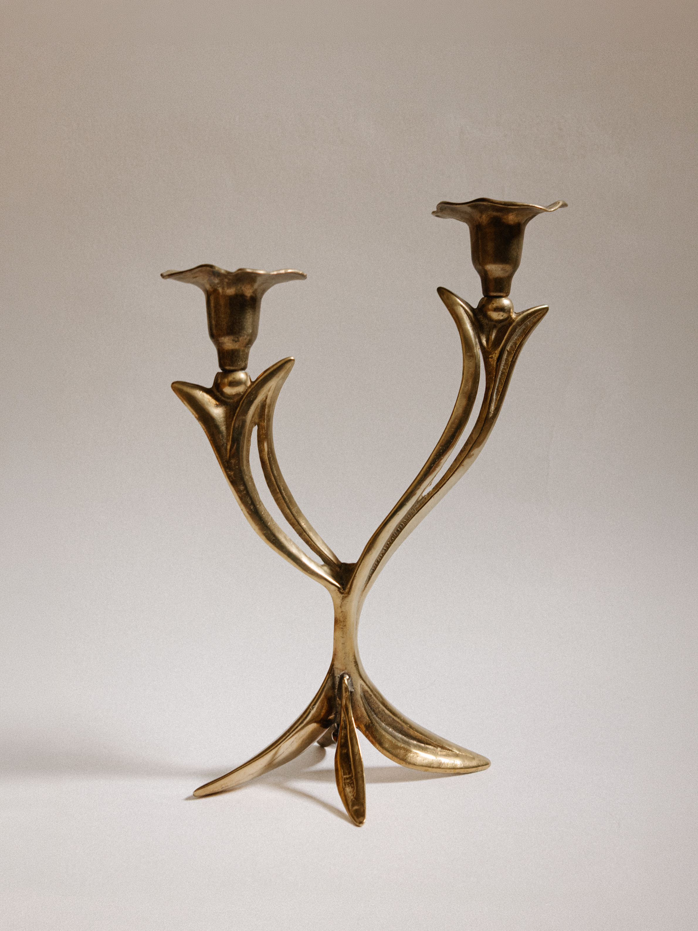 French Organic Flora Brass Candleholder