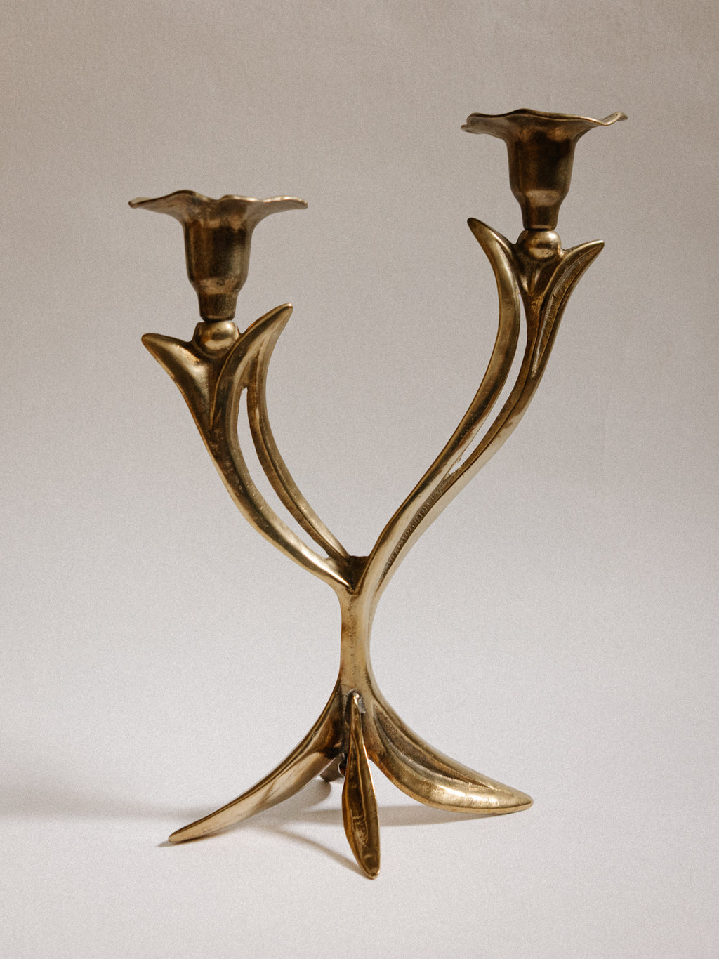 French Organic Flora Brass Candleholder