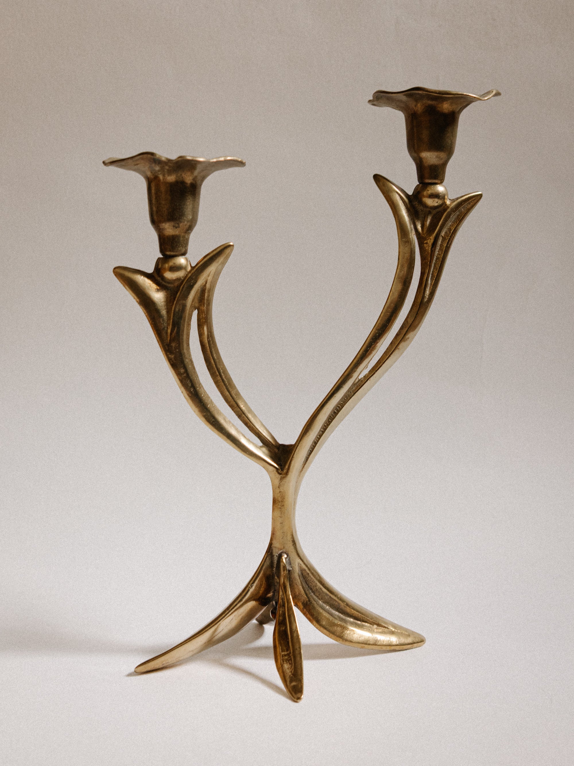 French Organic Flora Brass Candleholder