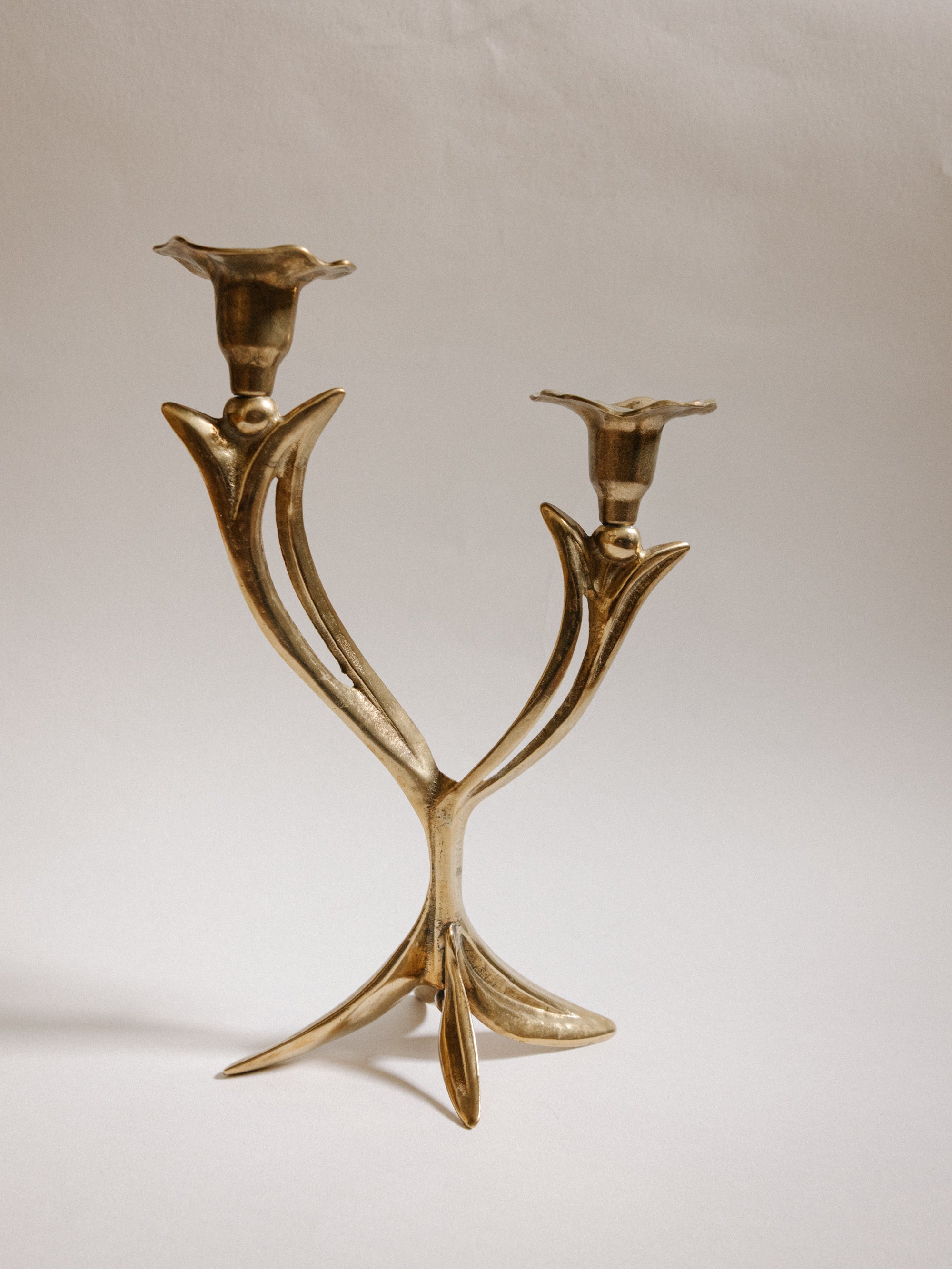 French Organic Flora Brass Candleholder