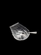 Scallop Shell Butter Dish & Knife Set