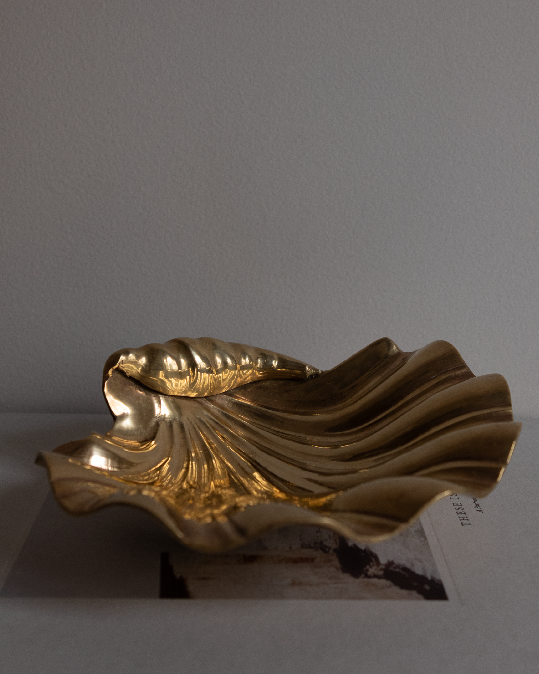 Brass Shell Footed Bowl