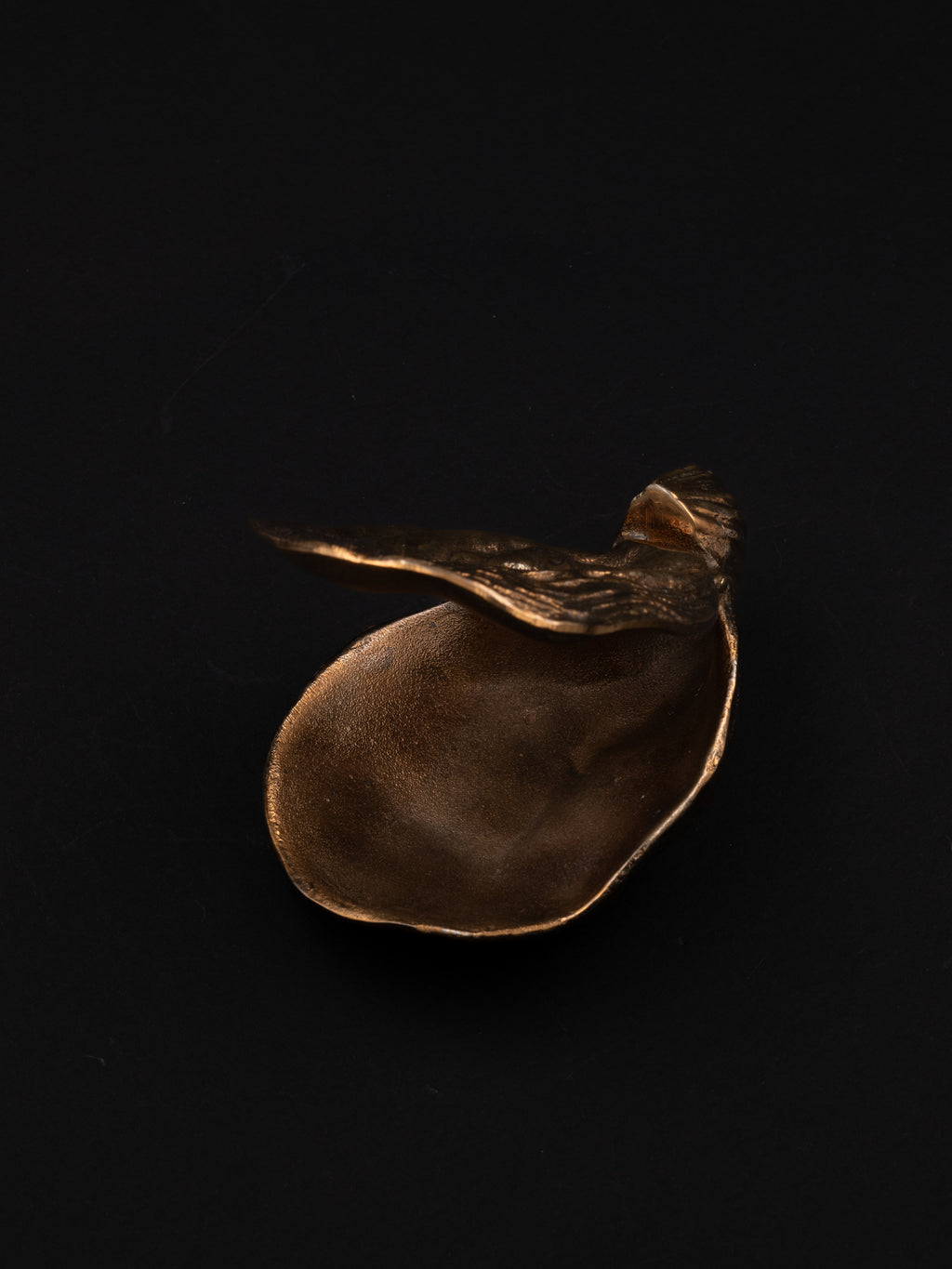 Sculptural Bronze Oyster Box