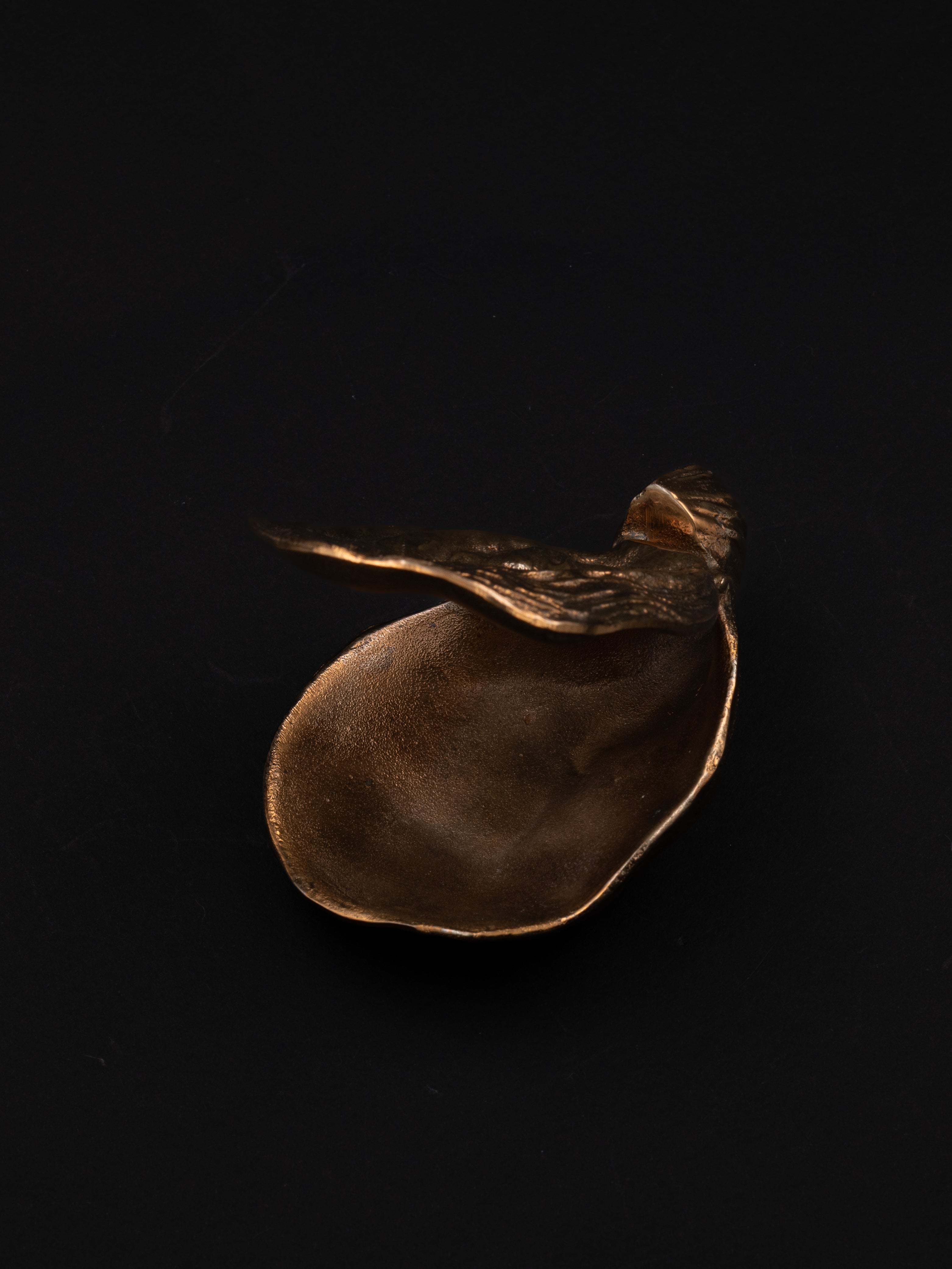 Sculptural Bronze Oyster Box