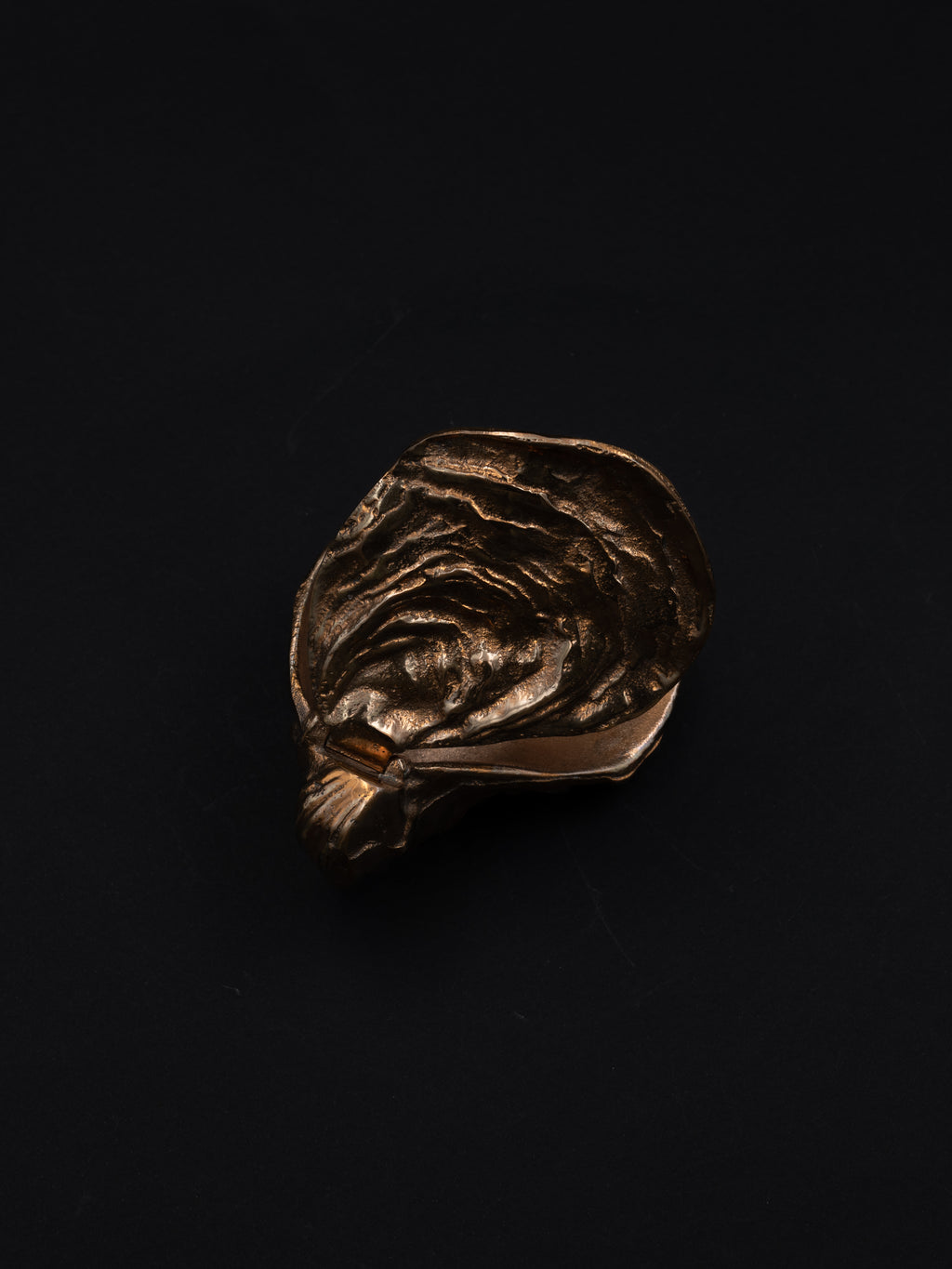 Sculptural Bronze Oyster Box