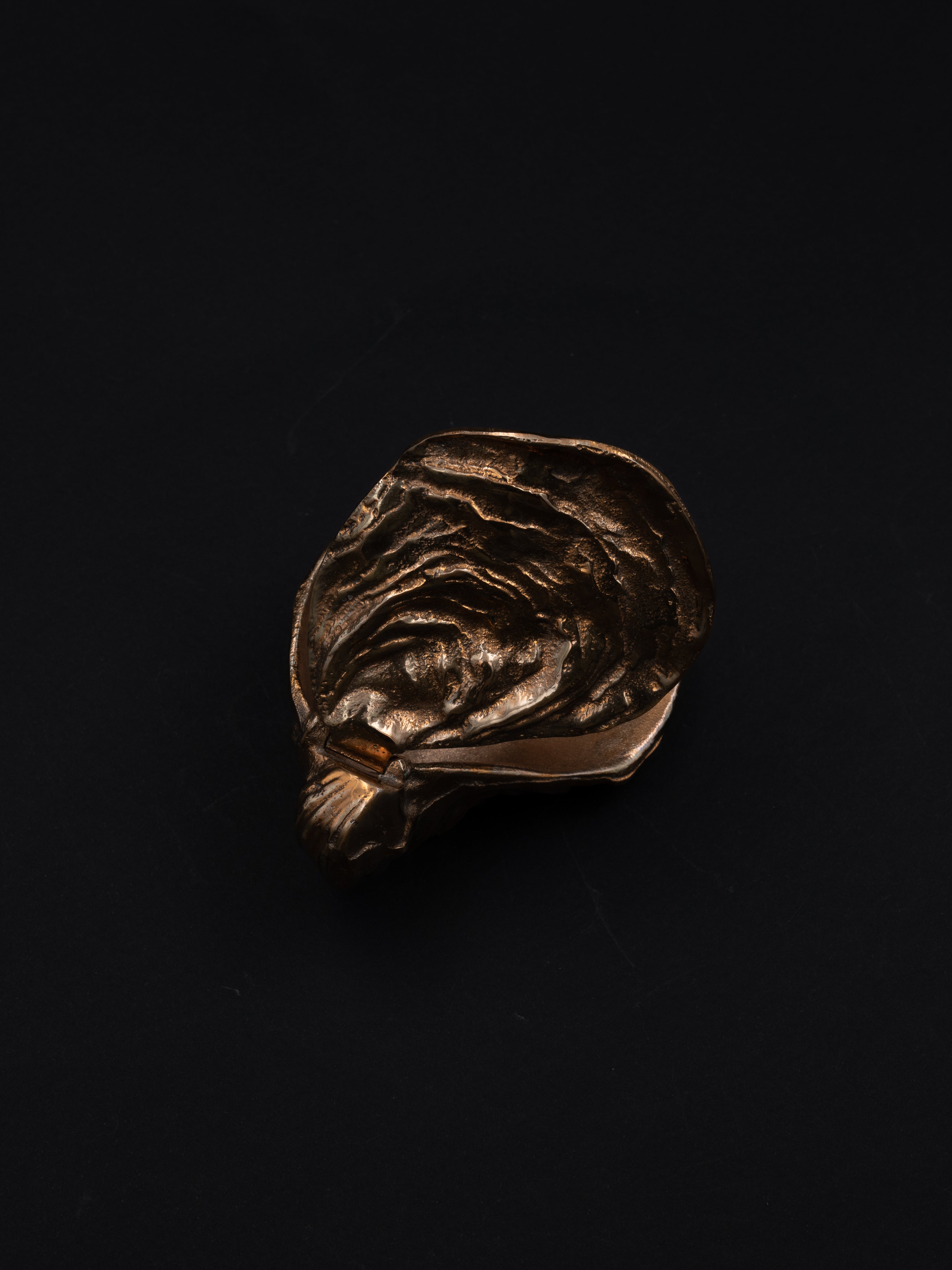 Sculptural Bronze Oyster Box
