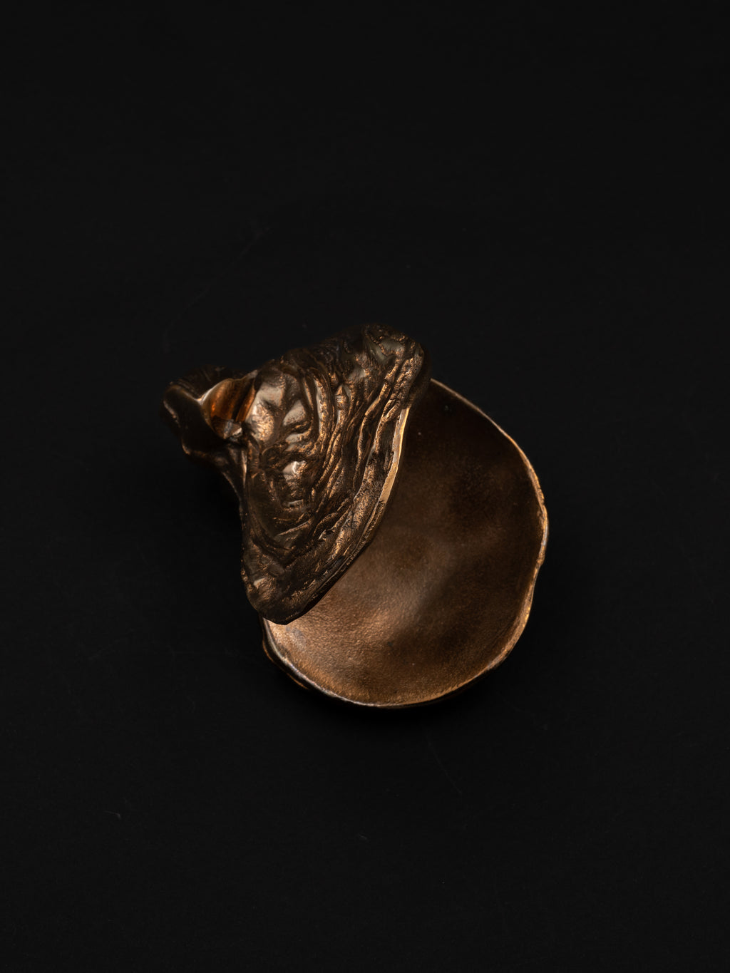 Sculptural Bronze Oyster Box
