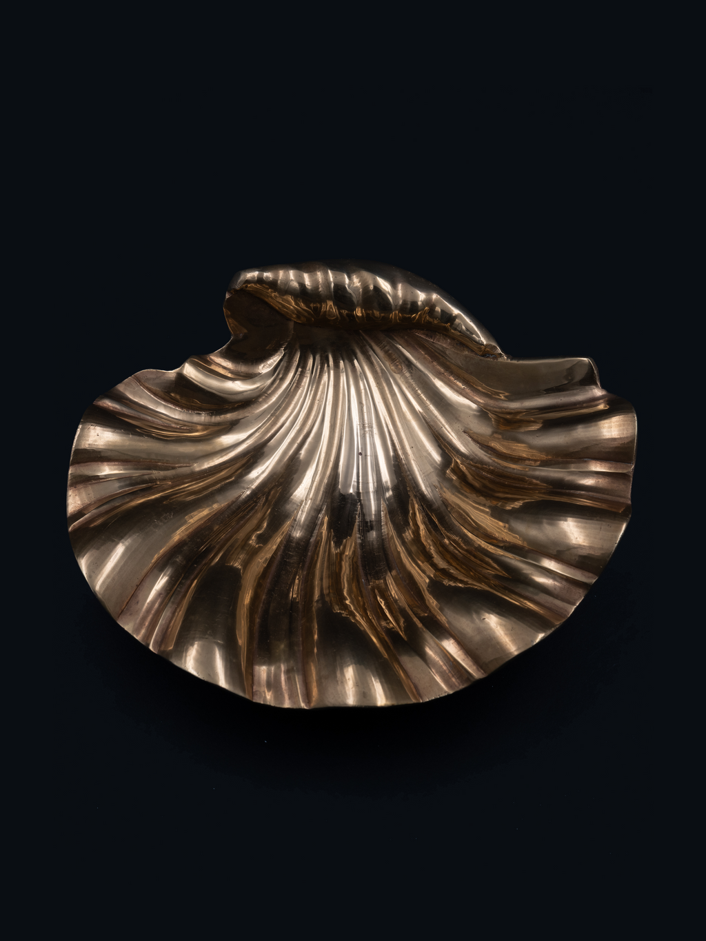 Brass Shell Catch-All