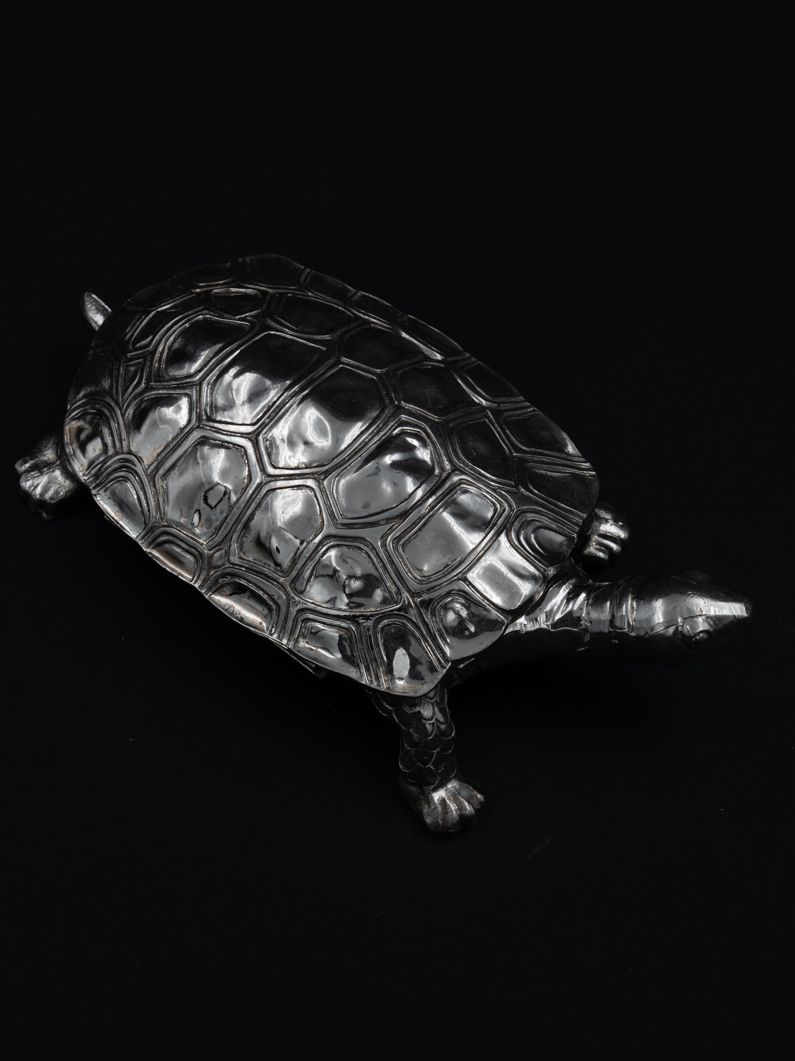 Turtle Trinket Box