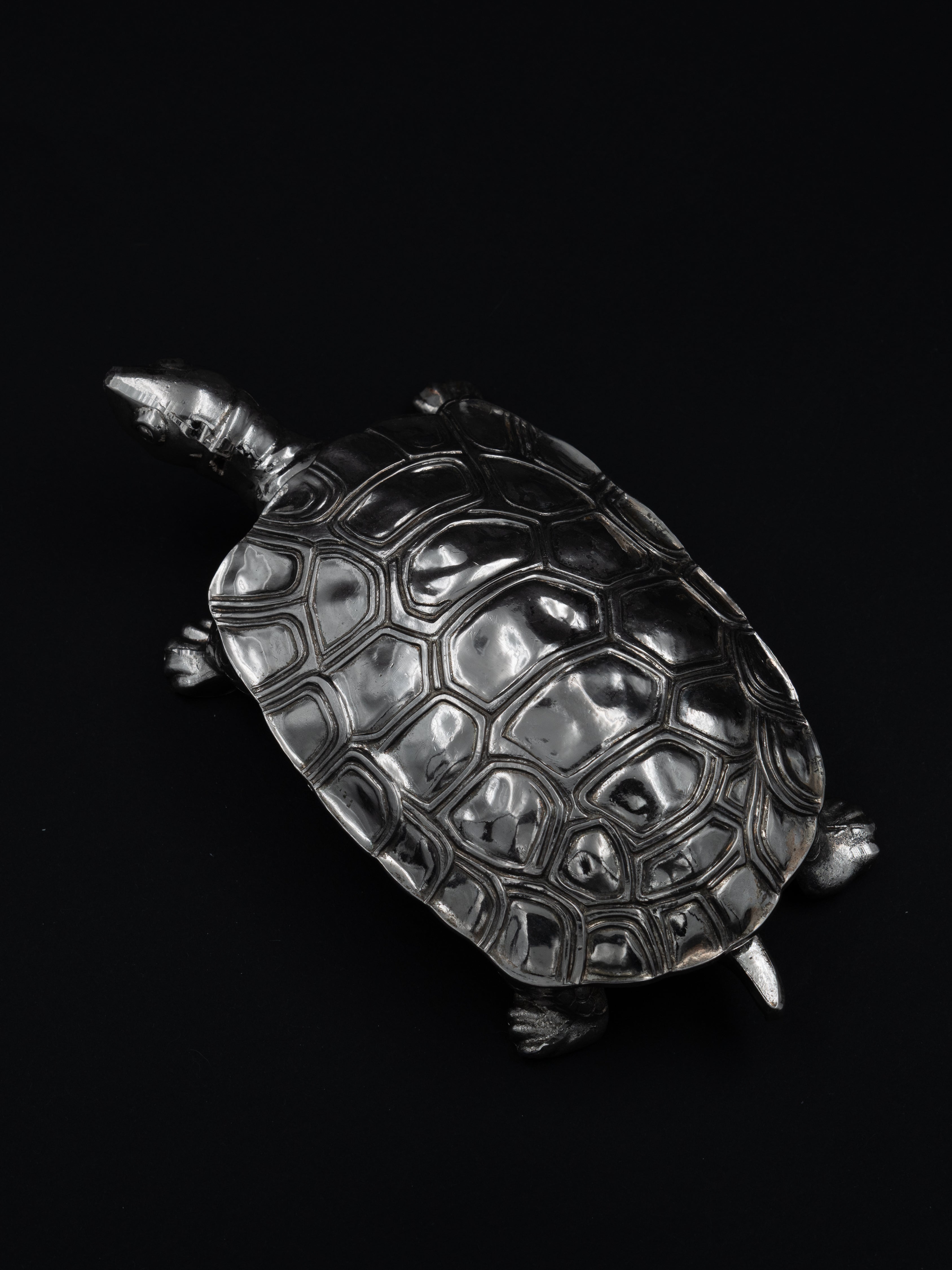 Turtle Trinket Box