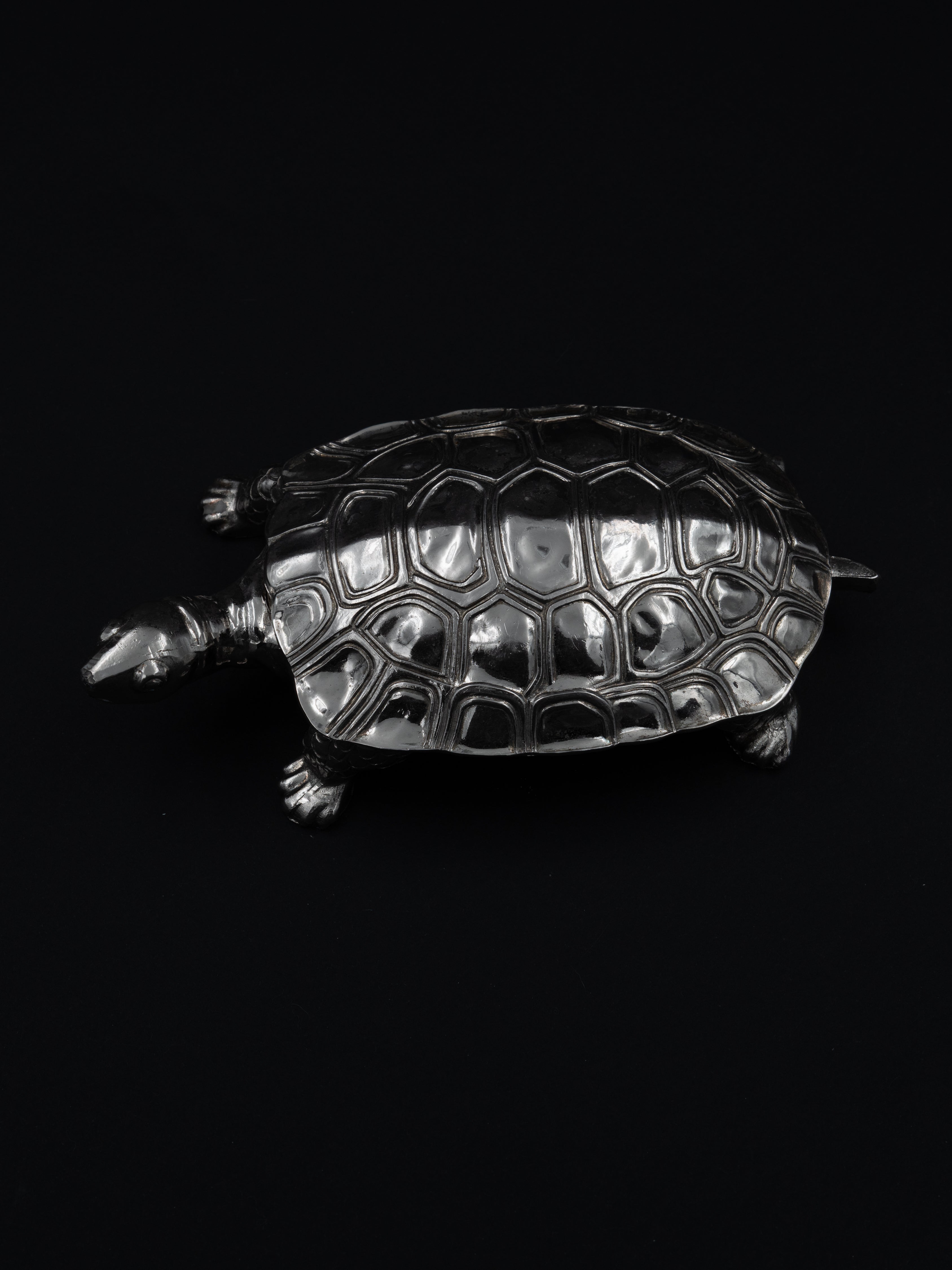 Turtle Trinket Box