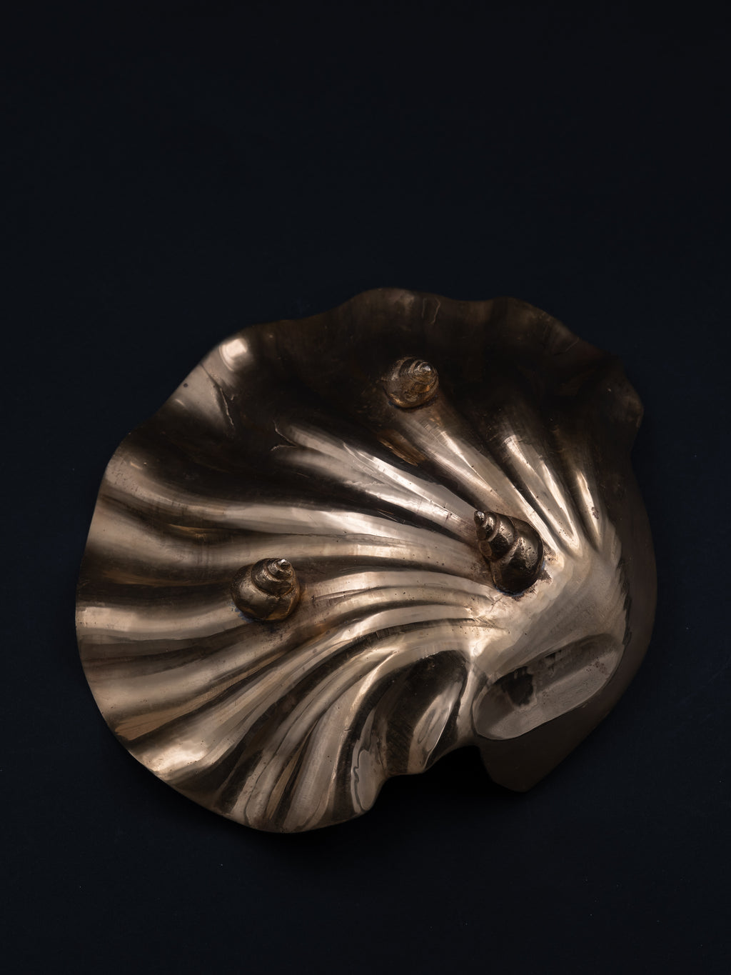 Brass Shell Catch-All