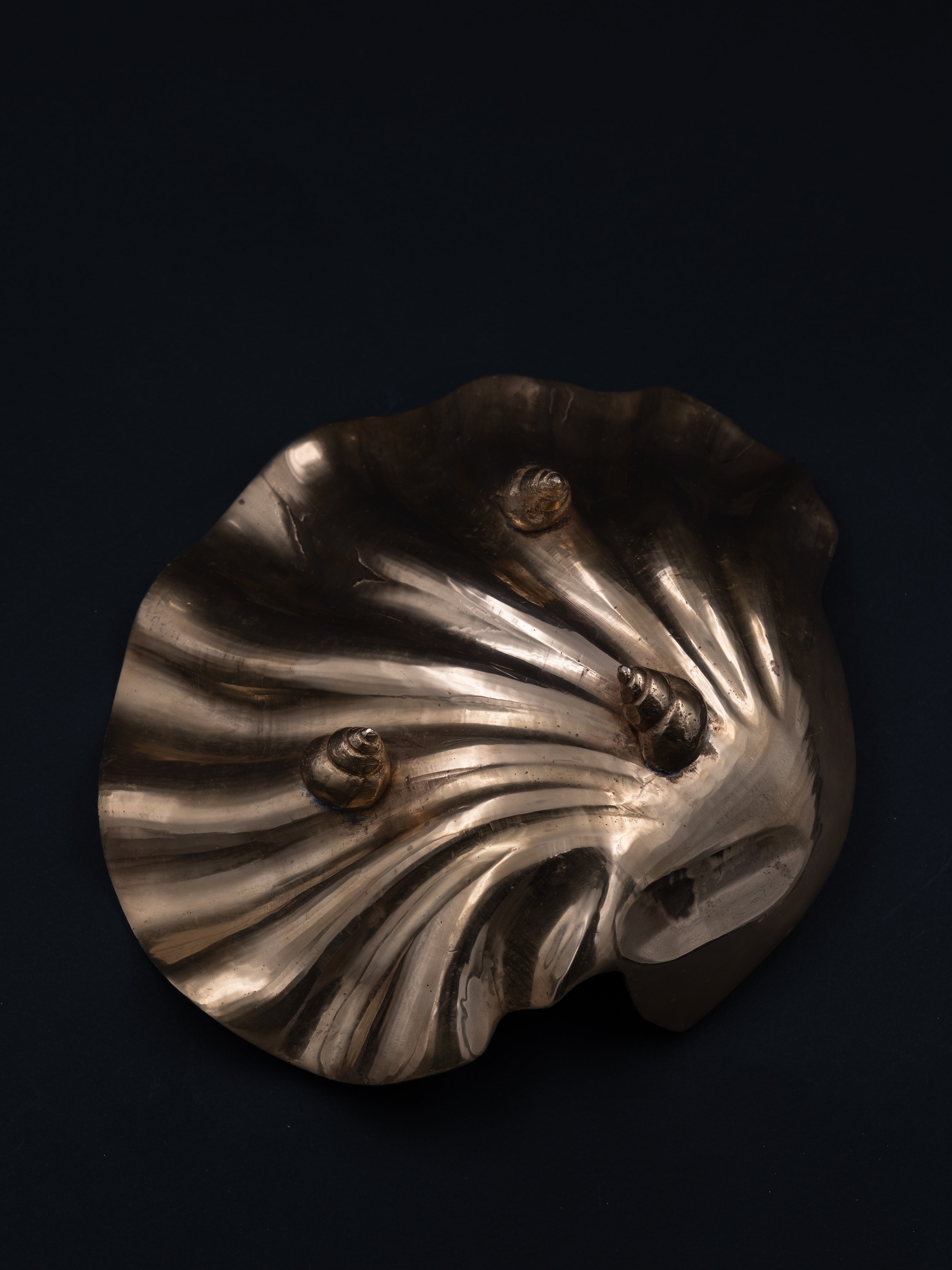 Brass Shell Catch-All