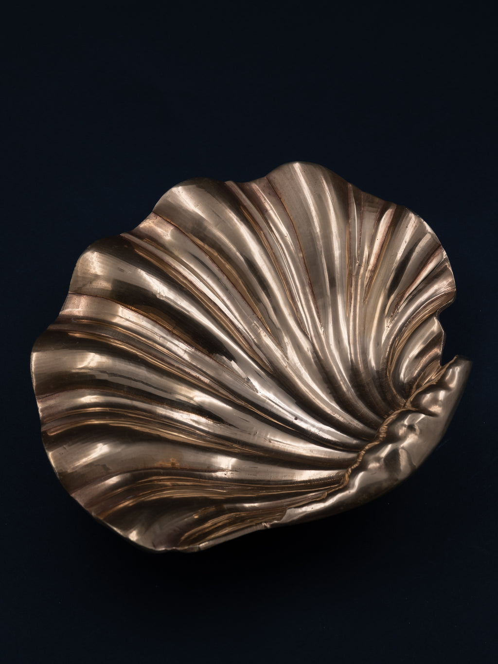 Brass Shell Catch-All