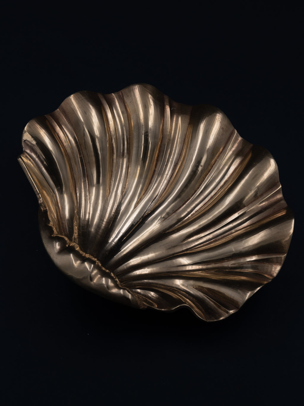 Brass Shell Catch-All