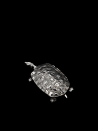 Boîte à bibelots tortue