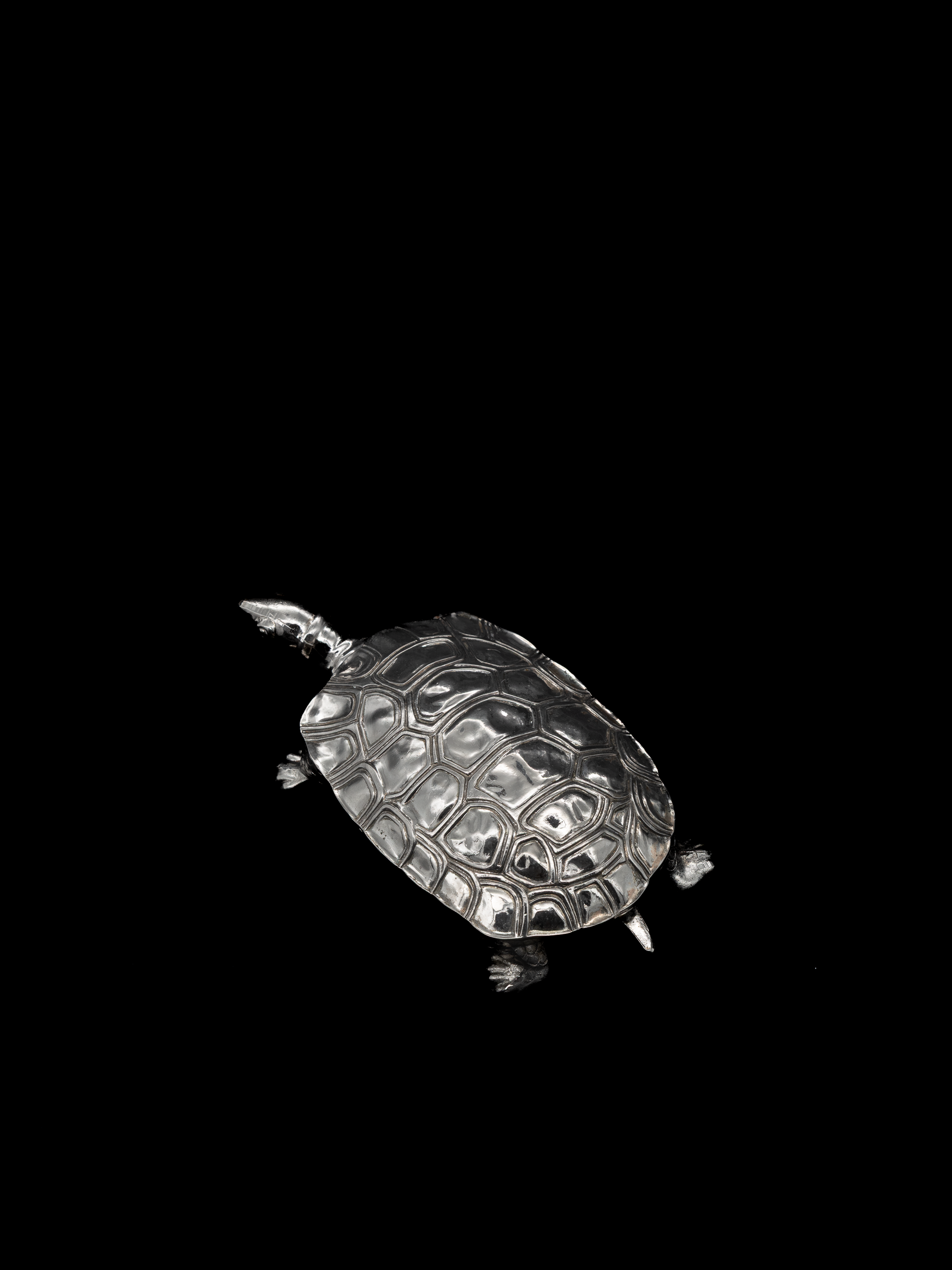 Turtle Trinket Box